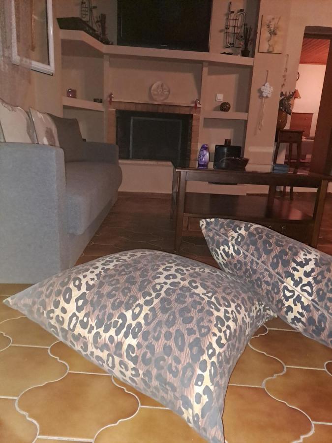 Spiros Corfu Apartment Kanálion Dış mekan fotoğraf